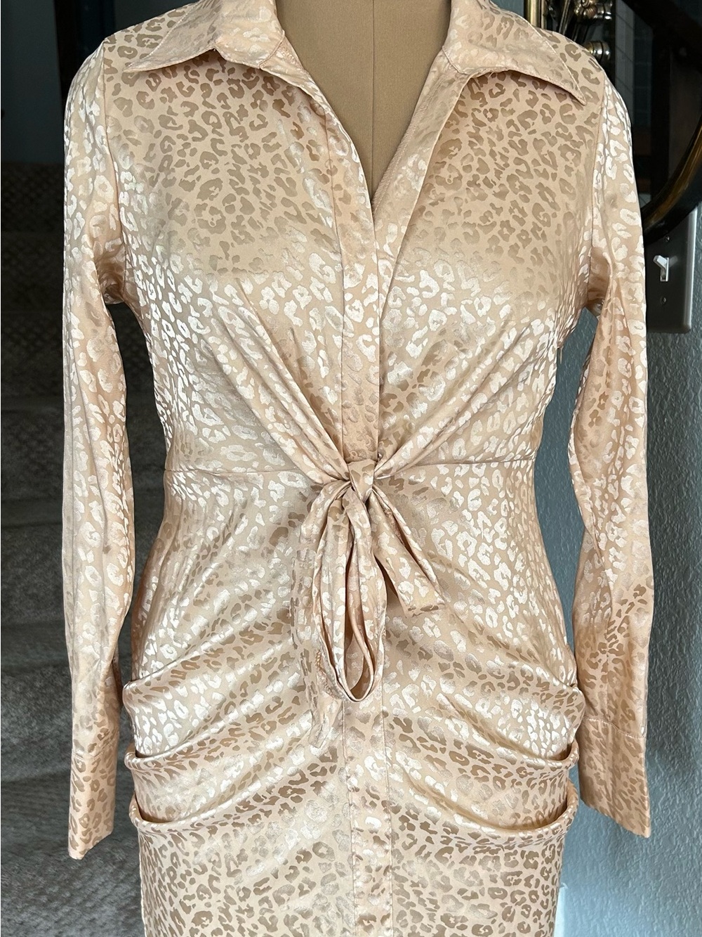 Satin Leopard Print Tie-Front Dress in Champagne